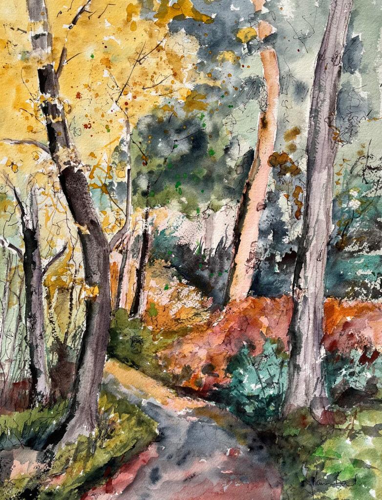 Maureen Bond: Autumn walk from Alfred’s Tower 1